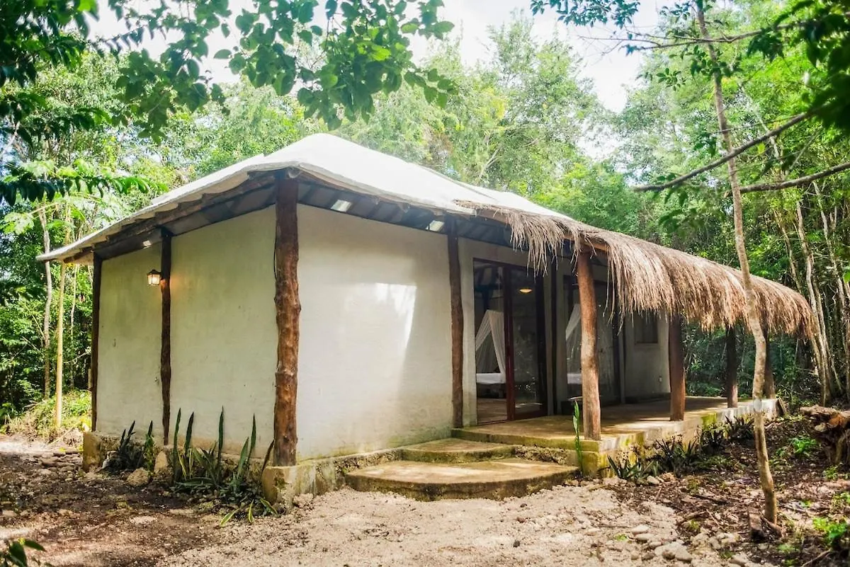 Vakantiehuis Cabana Ja Nik Puerto Morelos Mexico